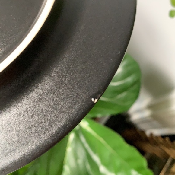 Set of 4 Arctic Night deserts salad plates black - Picture 6 of 7